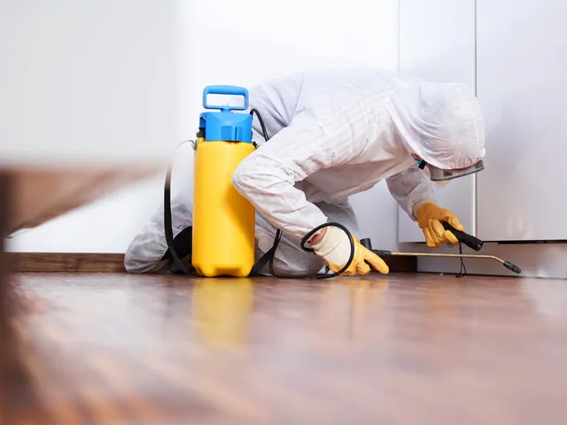 mold+removal+company 640w mold+removal+company 640w