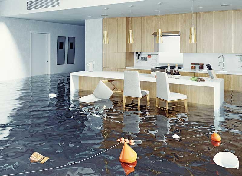 water mitigation